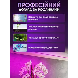 Світлодіодна фітолента для кімнатних рослин фітолампа 12V повний спектр 5 метрів від мережі SMD 2835 - мініатюра 3