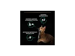 Сухий корм для кішок Purina Pro Plan Sterilised Adult 1+ Renal Plus Для дорослих стерилізованих З індичкою 400 г (7613033564673) - мініатюра 5