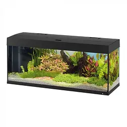 Акваріум Ferplast DUBAI 120 Чорний - 240 L 121 x 41 x h 56 cm