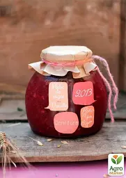 Саджанець Agro-Market Персик красном'ясий Ерітрокарпа (Erythrocarp) (преміальний осінній сорт) 1 шт. в упаковці (38115) - мініатюра 3
