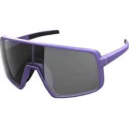 Окуляри Scott Torica LS Purple (1081-419429.7811.249)