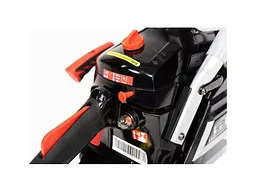 Бензопила Briggs&Stratton NAX 200C - мініатюра 4