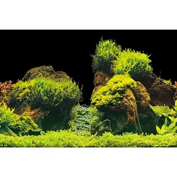 Акваріумний задній фон Aqua Nova Скали/Рослини 60x30 см (ROCK/PLANTS S) - мініатюра 3