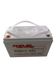 Акумулятор гелевий для ДБЖ Forjel Deep Cycle 12V 100 Ah - мініатюра 4