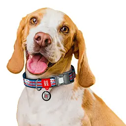 Нашийник для собак Waudog Nylon з QR паспортом Супермен Ретро р.L 25 мм 33-49 см (282-1082) - мініатюра 9