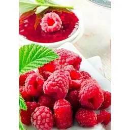 Саджанець Agro-Market Малинове дерево Малинова насолода (Сrimson delight) (преміальний, плодоносний, високоврожайний сорт) 1 шт. в упаковці (47689) - мініатюра 4