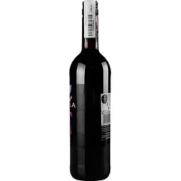 Вино Kumala Pinotage WO червоне сухе 13.5% 0.75 л 2 шт. - мініатюра 3