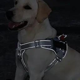 Нагрудна шлея для собак Reflective safety chest harness for pet dogs, XL Зелений - мініатюра 3