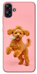 TPU чохол Demsky Happy poodle для Samsung Galaxy A04e