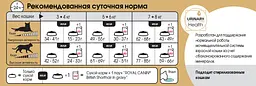 Сухий корм для котів породи британська короткошорстна Royal Canin British Shorthair Adult 10 кг 2557100 - мініатюра 2