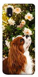 TPU чохол Demsky Flower spaniel для Samsung Galaxy M01 Core / A01 Core