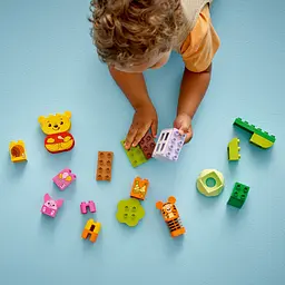 Конструктор LEGO DUPLO Disney День народження Вінні Пуха 22 деталі (10457)
Ко - мініатюра 6