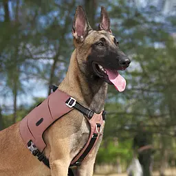 Шлейка для собак Truelove TLB2251 світловідбивна, з водонепроникної тканини Cordura, регульована Коричневий, S - мініатюра 5