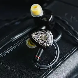 Дротові IEM навушники Tangzu Waner SG 2 with MIC Type-C (Чорний) - мініатюра 3