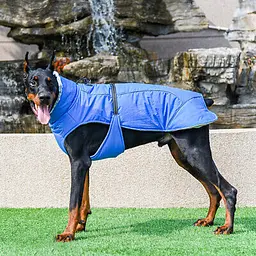 Зимове пальто з флісовим коміром Derby Blue - мініатюра 2