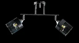 Люстра стельова з поворотними плафонами Splendid Ray L91099/2 (CR), 2 лампи, E27, хром, чорний метал, сучасний стиль для дому