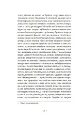 Аустерліц - мініатюра 7