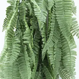 Штучна гілка Engard Persian fern 65 cм (AV-01) - мініатюра 8