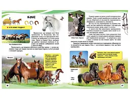 Книга Свійські тварини та їх дикі родичі, Пегас (укр.) - мініатюра 3