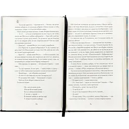 Книга Люборацькі - Анатолій Свидницький (525534) - мініатюра 4