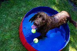 Басейн для собак Nobby Dog Pool Folding із клапаном для зливу води Ø 80x20 см 62204 - мініатюра 2