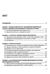 Спори з державними органими - Катерина Чучаліна - мініатюра 3
