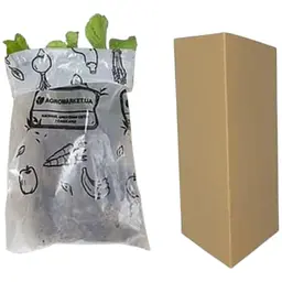 Саджанець Agro-Market Полуниця Полка 5шт (пізній термін дозрівання) (23398) - мініатюра 2
