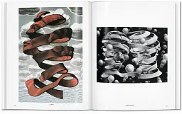 M.C. Escher. The Graphic Work - мініатюра 6