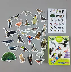 Магнітна гра Vladi Toys ML4031-30 EN (70) "Magdum", "Birds. Рhoto", англ. мова Набір магнітів для дітей птахи