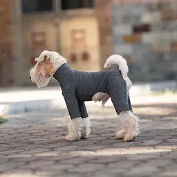 Базовий комбінезон/піжама для собак V.PET.B.R. Dog Jumpsuit CF36 Dark Grey