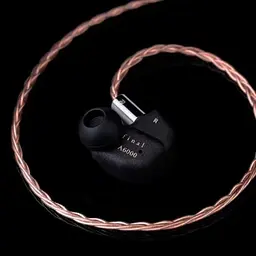 Навушники Final Audio A6000 Black (90403798) - мініатюра 4