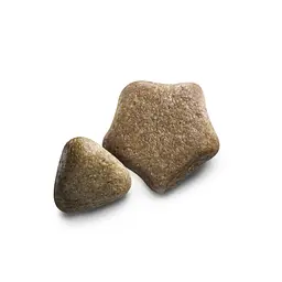 Сухий корм для дорослих собак усіх порід Dog Chow Adult Lamb 2,5 кг (ягня) - мініатюра 2
