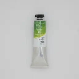 Олійна фарба Rive gauche 40 мл, Соковитий зелений (Sap Green)