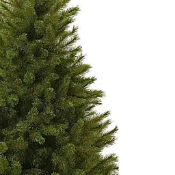 Штучна сосна Triumph Tree Forest Frosted зелена з інеєм 1,55 м (756770520322) - мініатюра 2