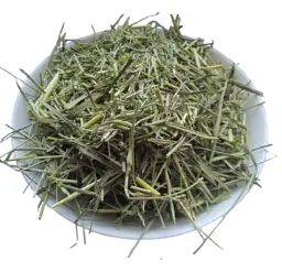 Пирій Трава Перійка Elymus repens - мініатюра 1