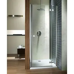 Душові двері Radaway Almatea DWJ 120 см 31402-01-12N