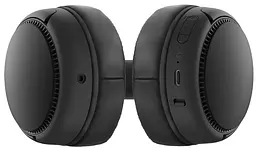 Навушники PANASONIC RB-M300BGE-K - мініатюра 3