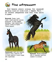 Енциклопедія дошкільника: Коні - мініатюра 4