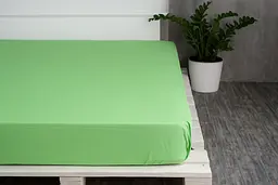 Простирадло на резинці Ecotton 160х200 см однотонне зеленого кольору Summer green (20640)
