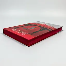 Міст душ - Вікторія Шваб | Nebo Booklab Publishing, книга українською, нова, тверда - мініатюра 2
