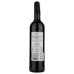 Вино Pampaneo Tempranillo Natural, червоне, сухе, 0,75 л - мініатюра 2