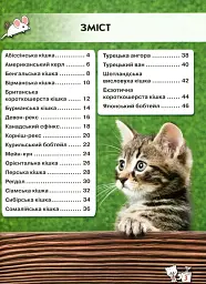 Світ навколо нас. Кішки - мініатюра 2