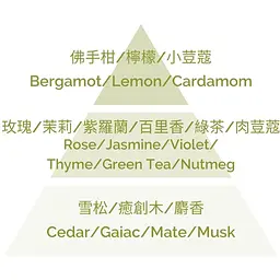 Аромадифузор Plantes&Parfums The Vert Green Tea 100 мл (8000020684212) - мініатюра 3