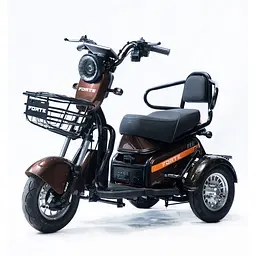 Трицикл акумуляторний Forte S1-P600 Коричневий