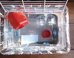 Клітка Ferplast Combi 1 Fun для хом`яків з ігровою зоною - мініатюра 6