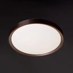Світильник настінно-стельовий для ванної Brille W-629/20W NW - мініатюра 2