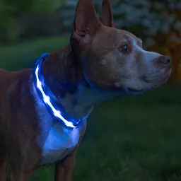 Нашийник для собак UFT PET LED 1 Blue M з підсвічуванням на батарейках - мініатюра 3