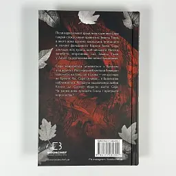 Плоть і вогонь: Вогонь у плоті - Арментраут Дженніфер | BookChef, книга українською, нова, тверда - мініатюра 4