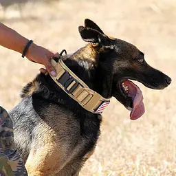 Нашийник для собак Harness Tactical, широкий нейлоновий з металевою пряжкою-фастекс XL, Чорний - мініатюра 3