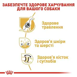 Сухий корм для дорослих собак породи Німецька вівчарка Royal Canin German Shepherd Adult, 3 кг (2518030) - мініатюра 6